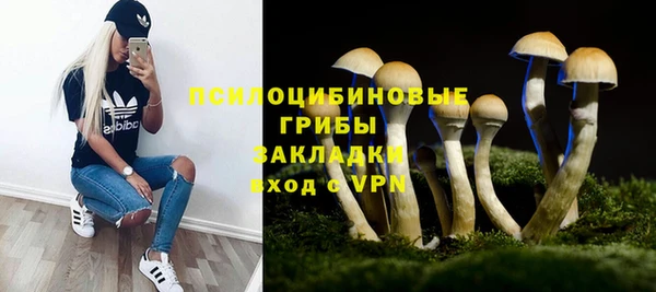 таблы Алексеевка