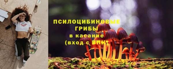крисы Алексин
