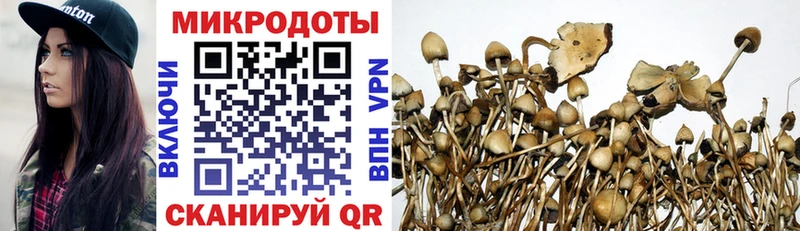 Псилоцибиновые грибы GOLDEN TEACHER Уфа